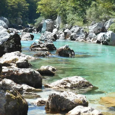 Trnovo Ob Soci Kuhala *